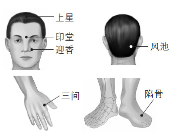 鼻塞、打鼾等鼻子問題的防治